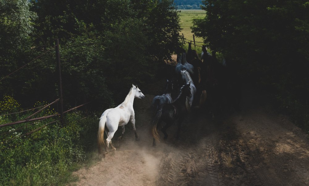 Photograph by Дмитрий Демидов