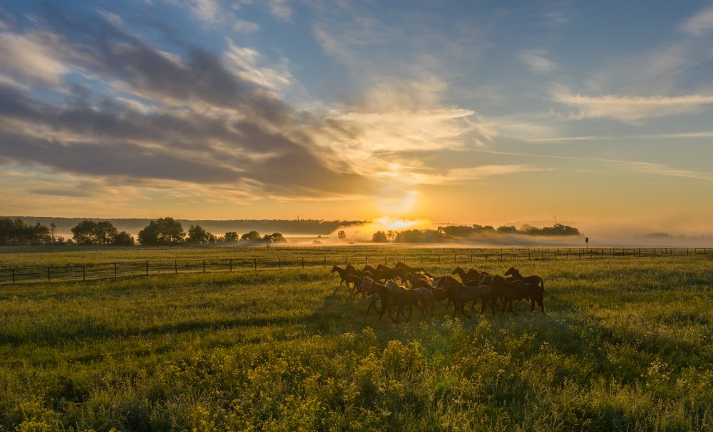 Photograph by Дмитрий Демидов