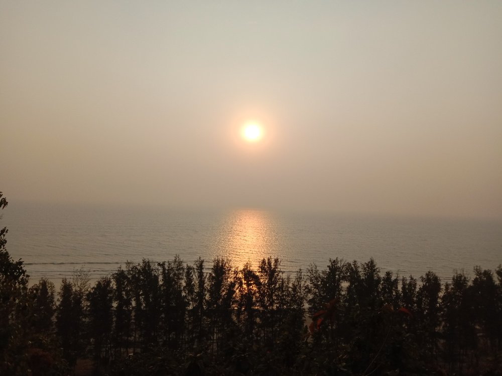 Photo #3562446