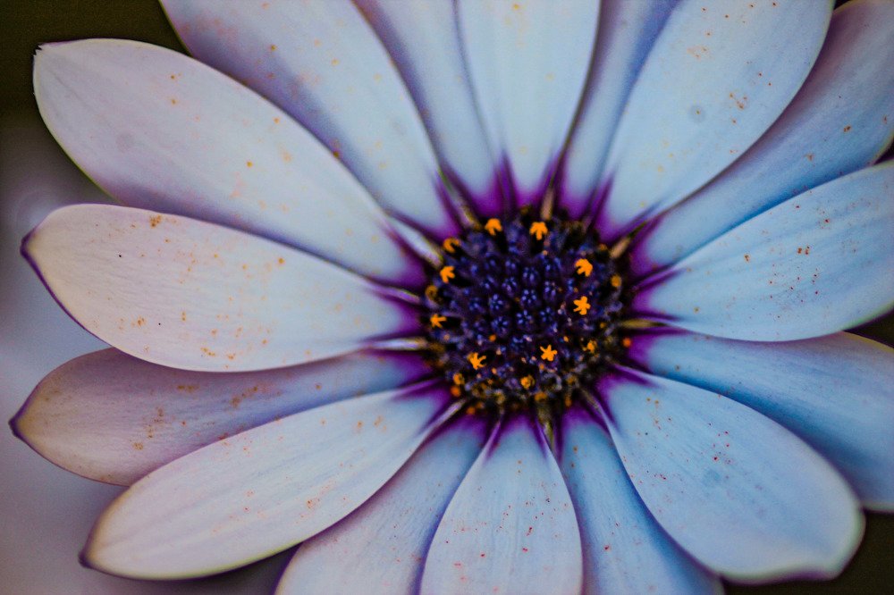 Photograph by salsabil