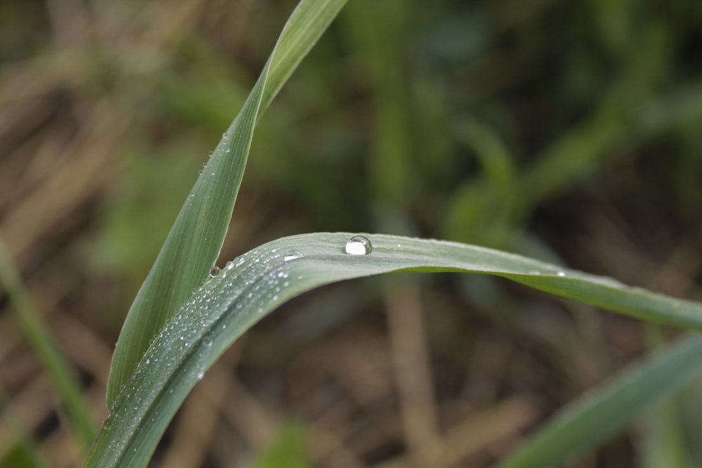 Photograph by Елена