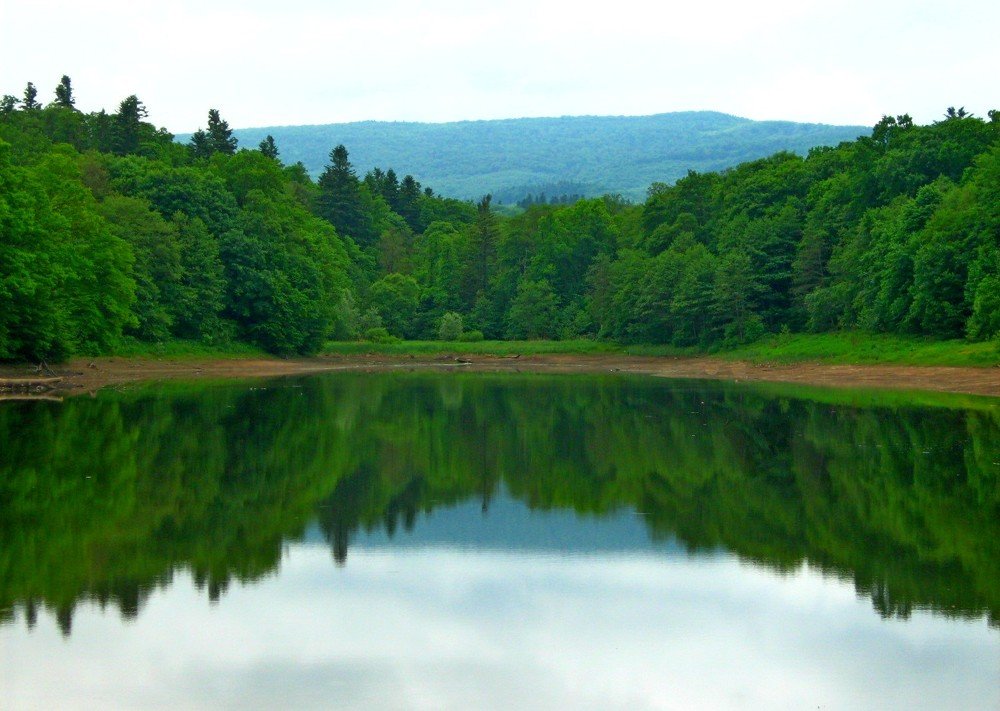 Лесное озеро