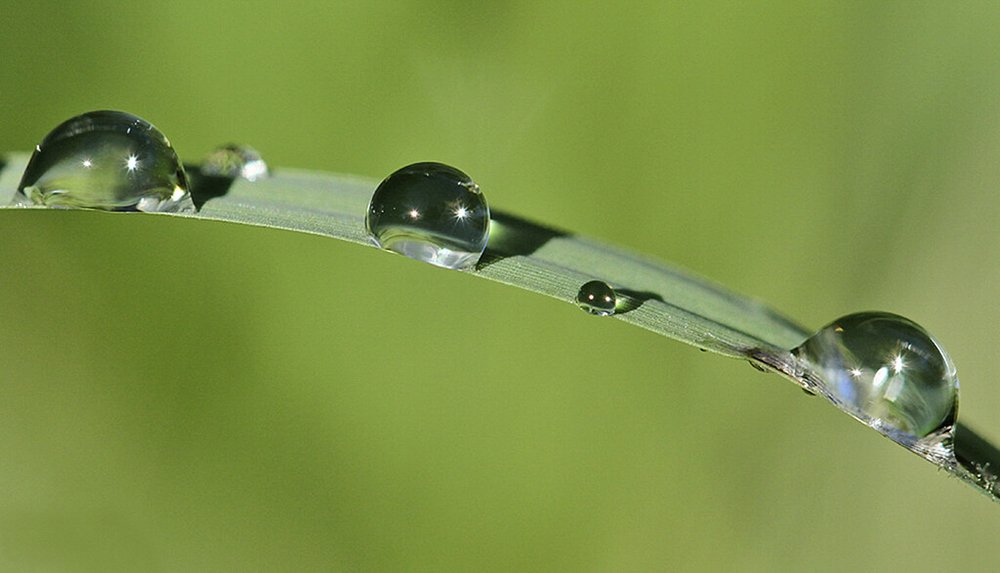 Фотография автора Marina