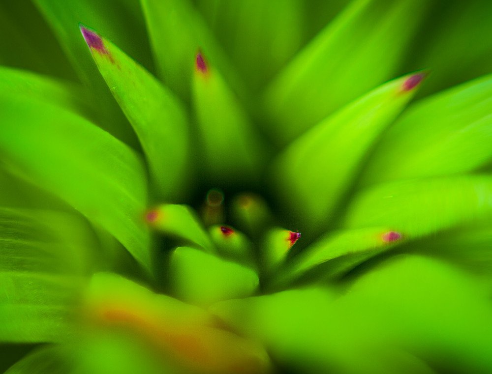 Photograph by Илья Кондрахин