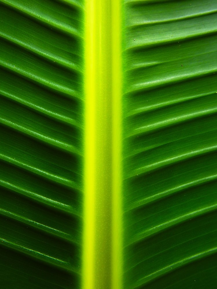 Photograph by Сергей Шипулин