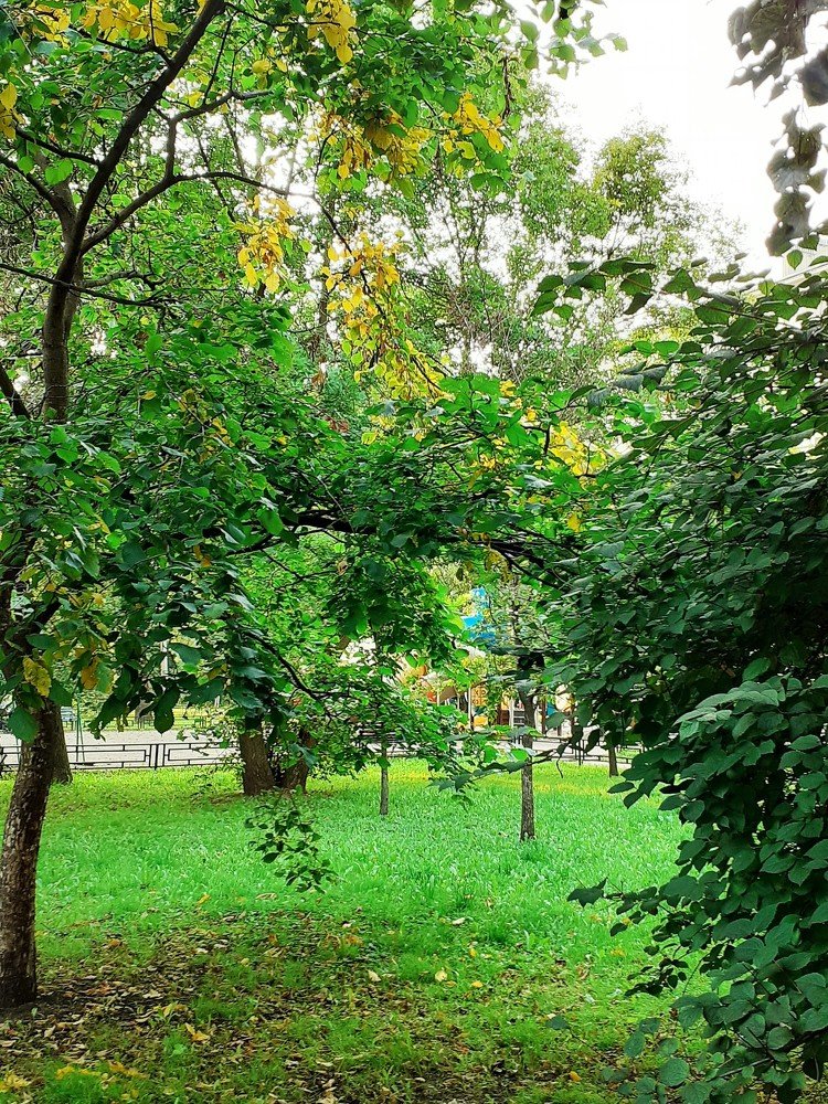 Photograph by Ирина Копанева