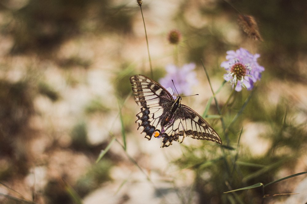 Photograph by Евгения Сосновская
