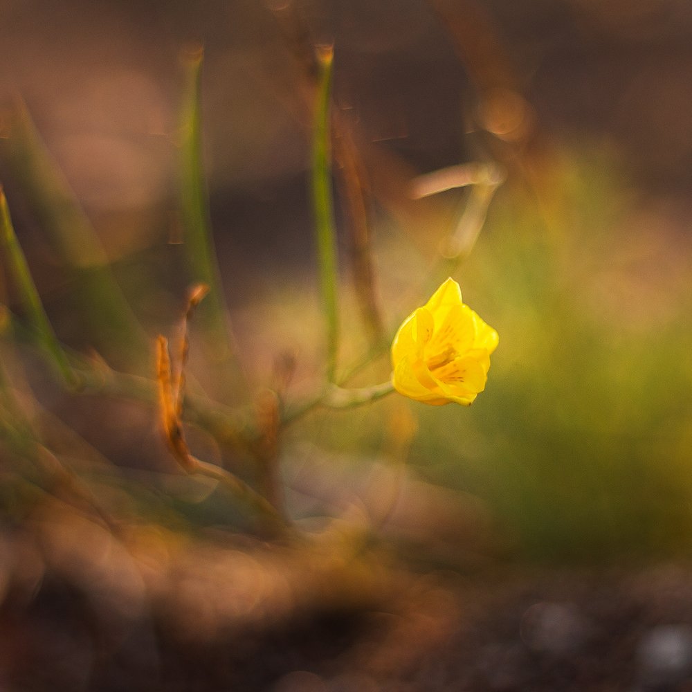 Photograph by Евгения Сосновская