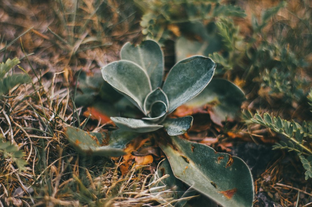 Photograph by Евгения Сосновская