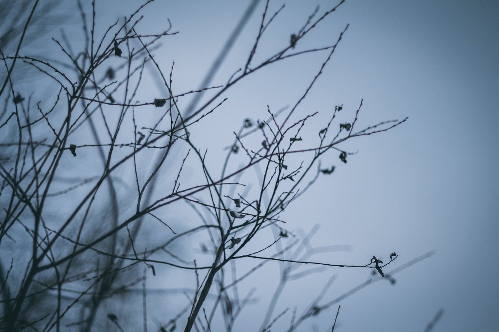 Photograph by Евгения Сосновская