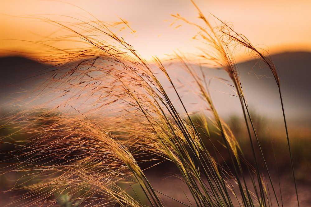 Photograph by Евгения Сосновская