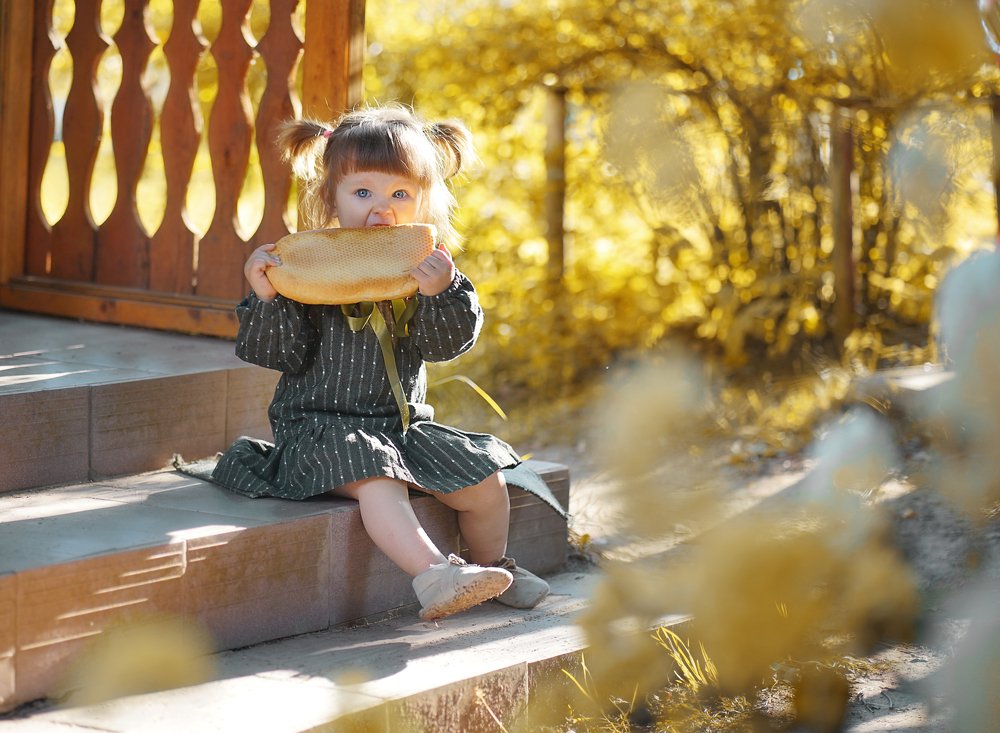 Фотография автора Елена Петрова