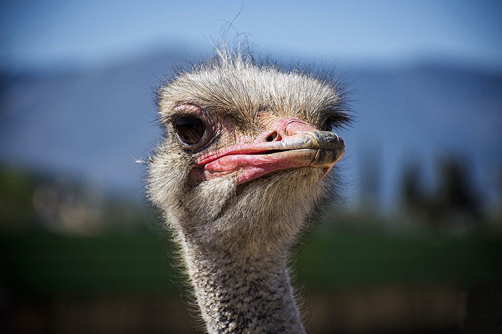 Photograph by Kostas Rammos