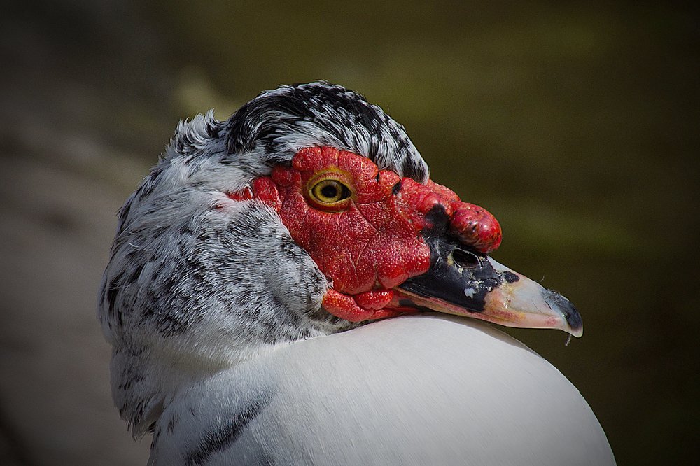 Photograph by Kostas Rammos