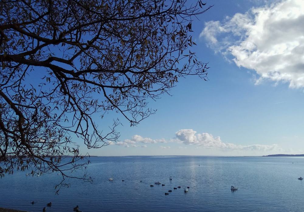 Цвет настроения - синий