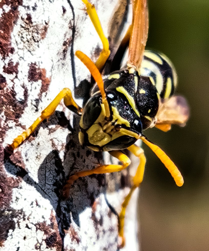 Photograph by Сергей Таранов