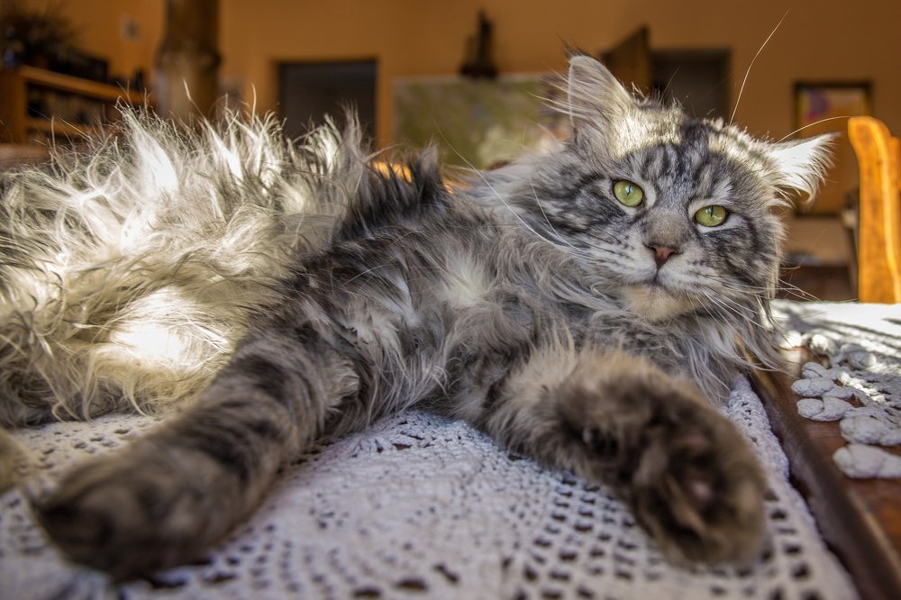 Photograph by Wiktor Baron