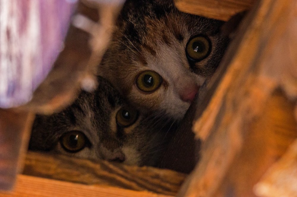 Photograph by Wiktor Baron