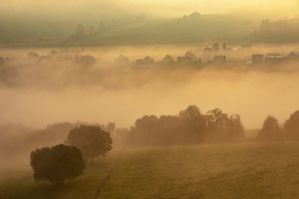 Photograph by Wiktor Baron