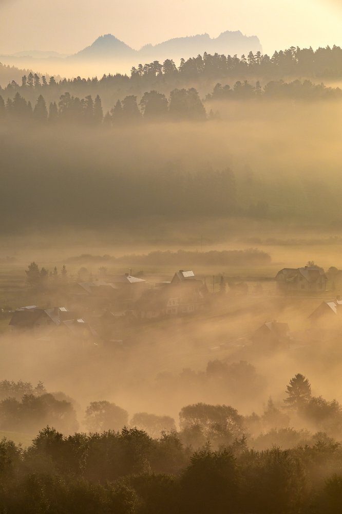 Photograph by Wiktor Baron