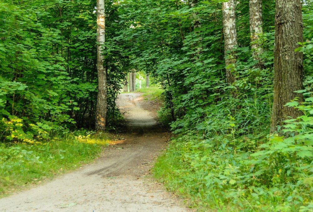 Photograph by Павел Ступак