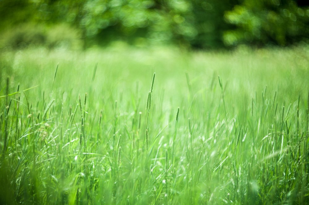 Photograph by Татьяна Макотра