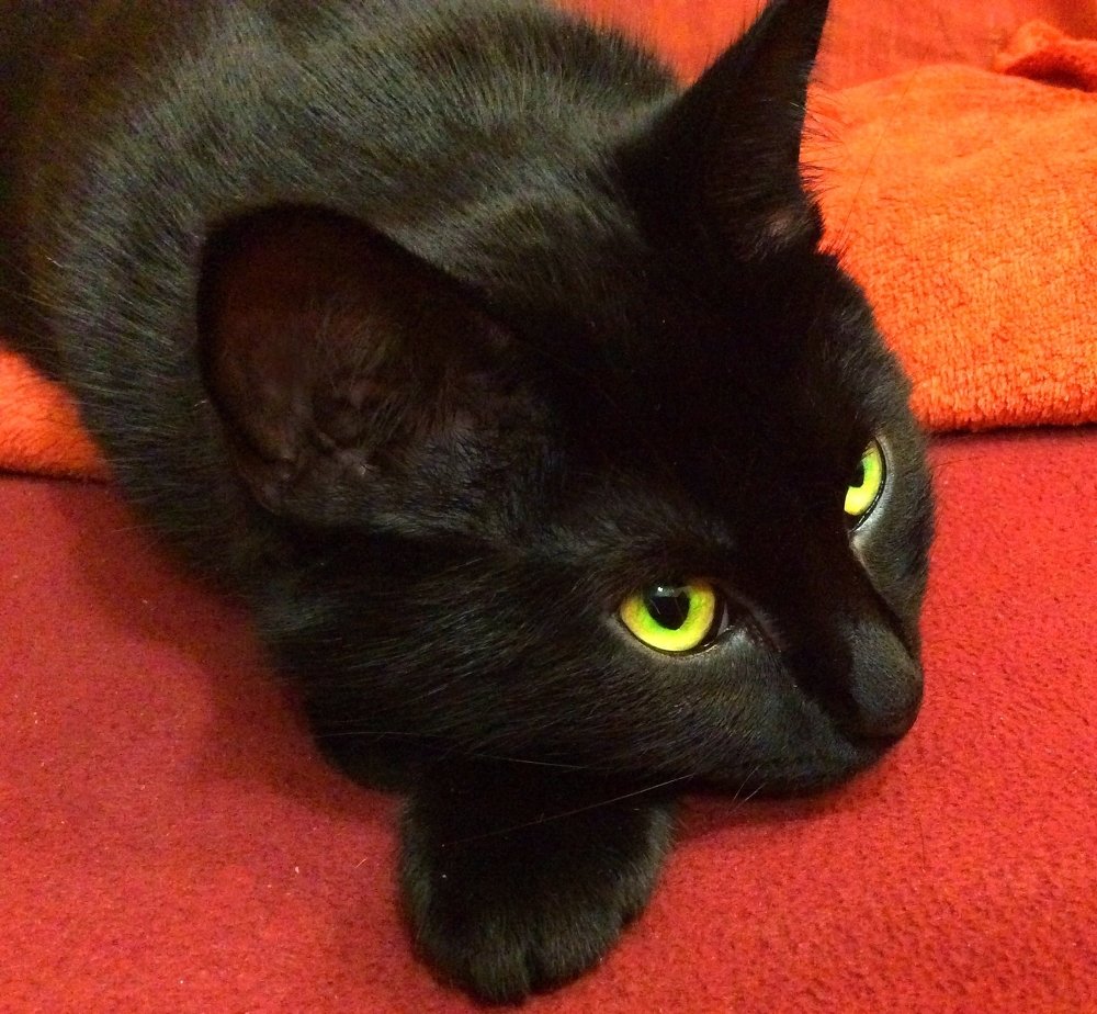 Photograph by Елена Трапезникова