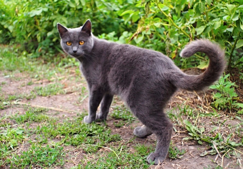 Photograph by Елена Трапезникова