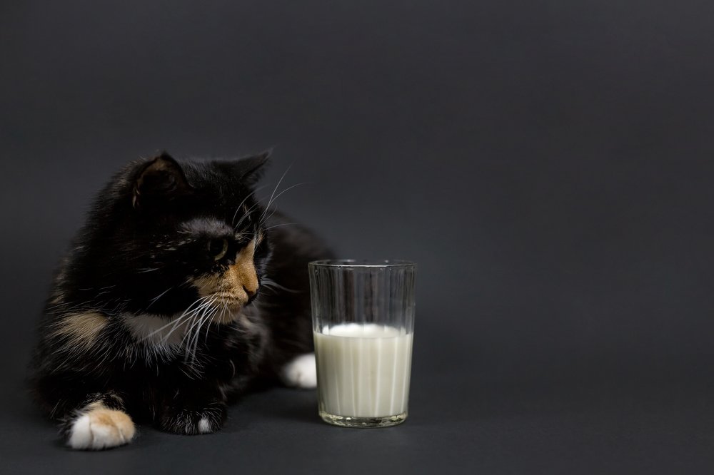 Photograph by Савёлова Екатерина