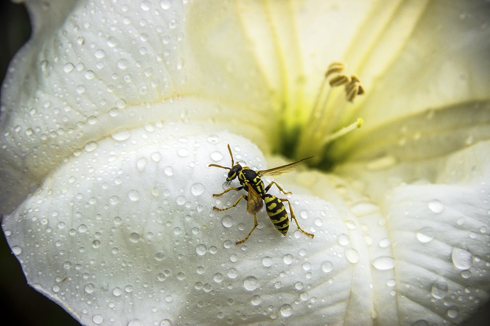 Photograph by Екатерина Нефедова