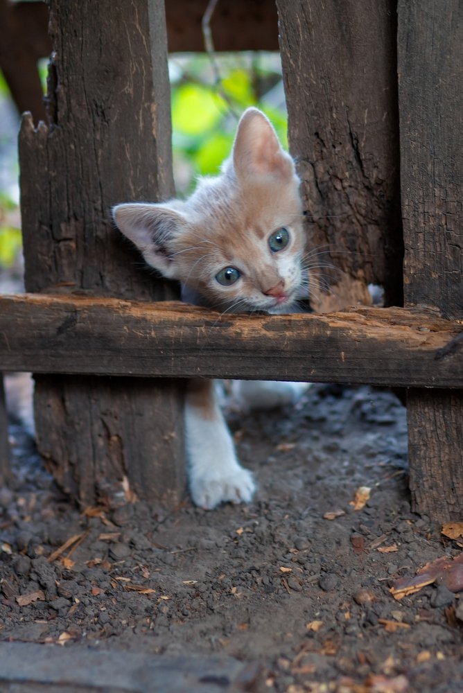 Photograph by Савёлова Екатерина
