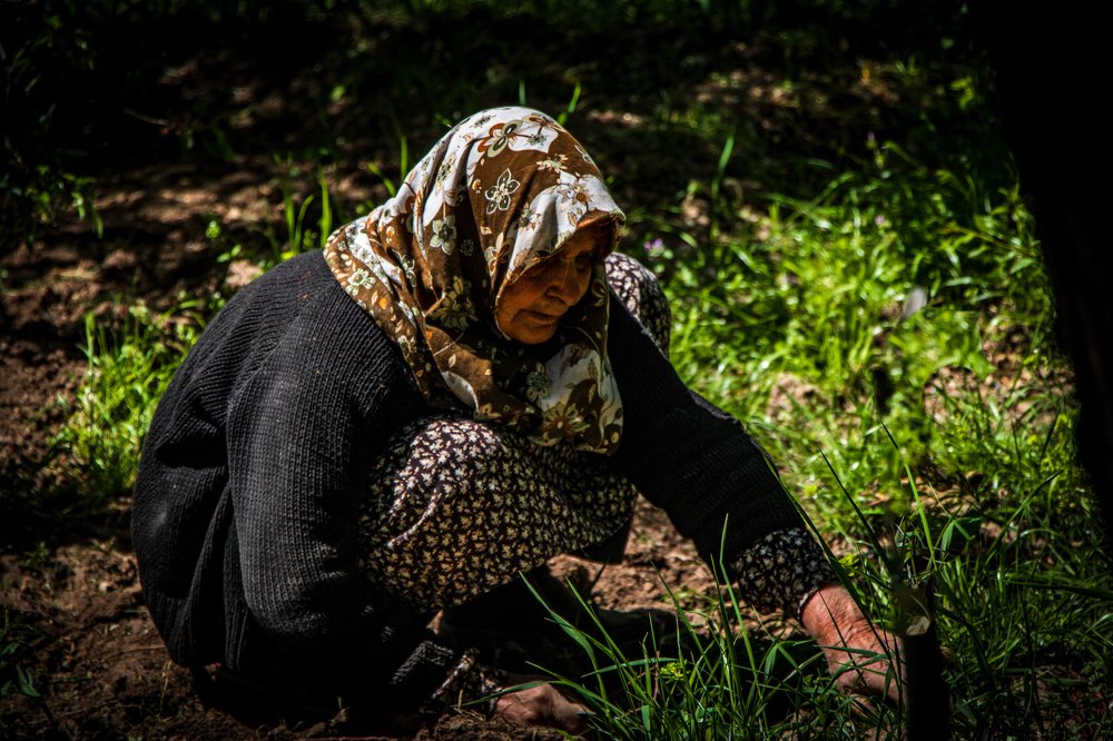 Photograph by Nima Almasi