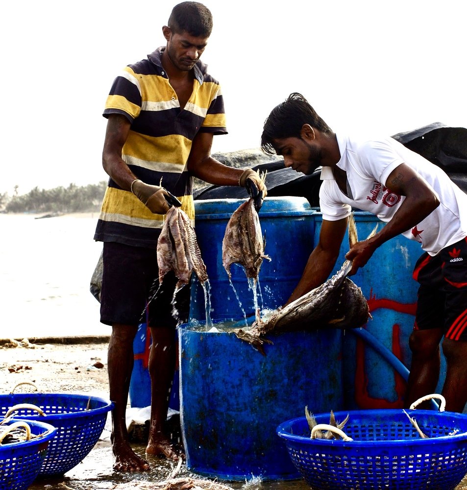 Photograph by Наталия Шибаева