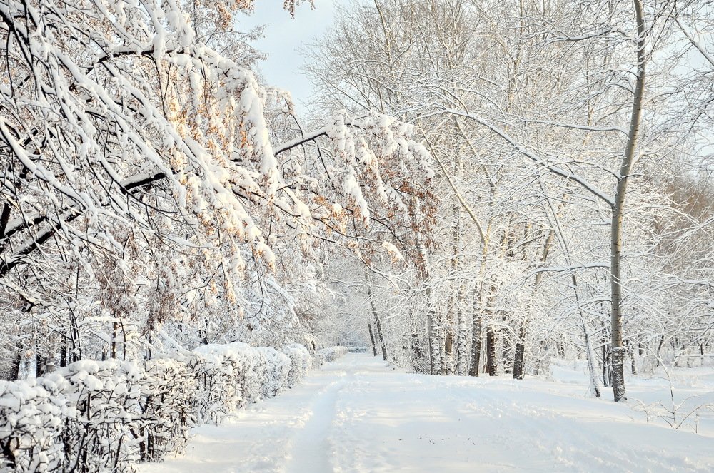 Зимушка-зима, зима снежная была...