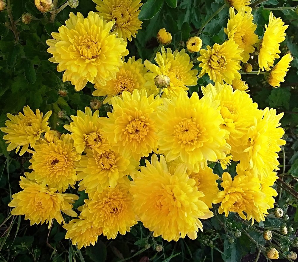 Photograph by Елена Трапезникова