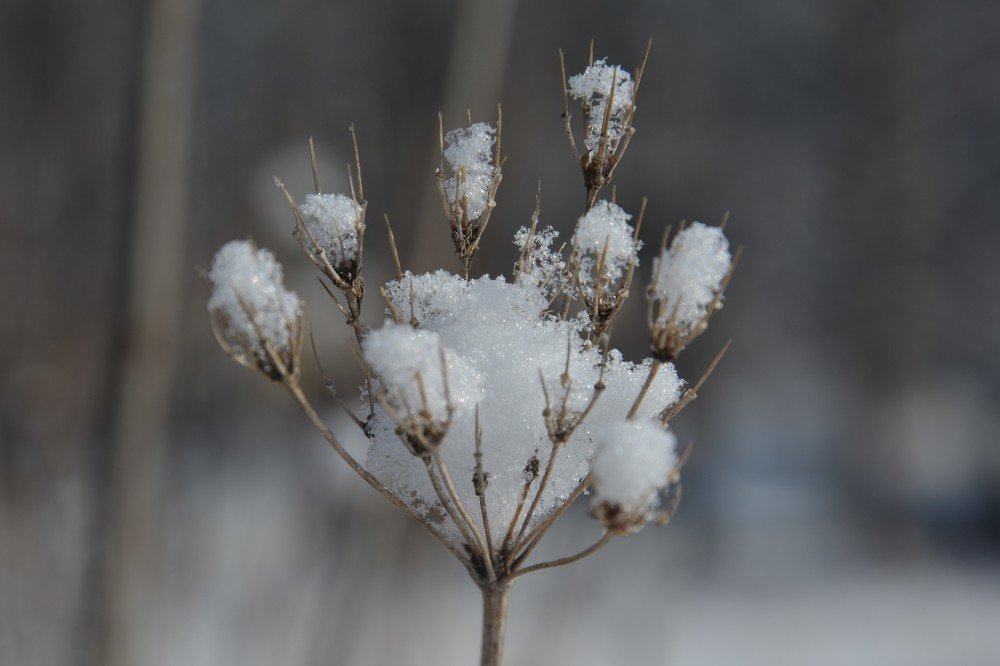 Photograph by Анатолий Зеленский