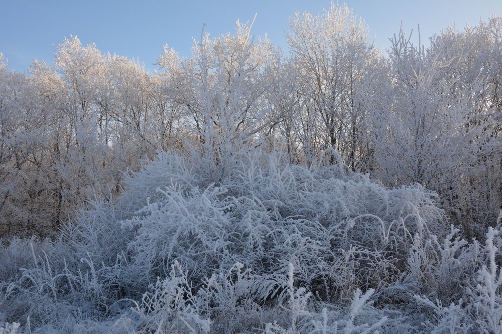 Photograph by Анатолий Зеленский