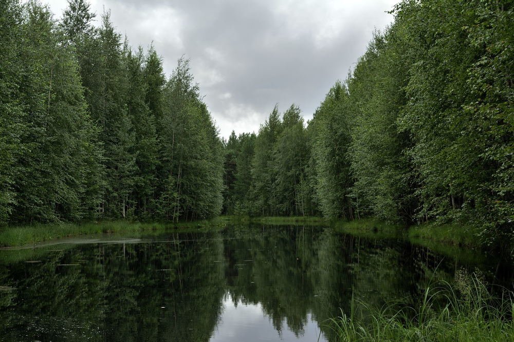 Photograph by Светлана Евпалова