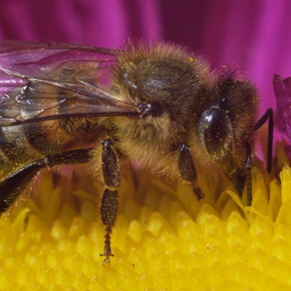 Photograph by Василий Шугурин