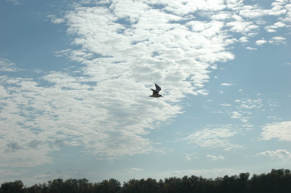 Photograph by Ирина Марченко