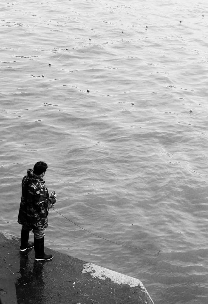 Photograph by Reyhane Ameri Pouya
