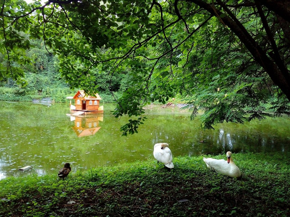 Photograph by Ирина Марченко