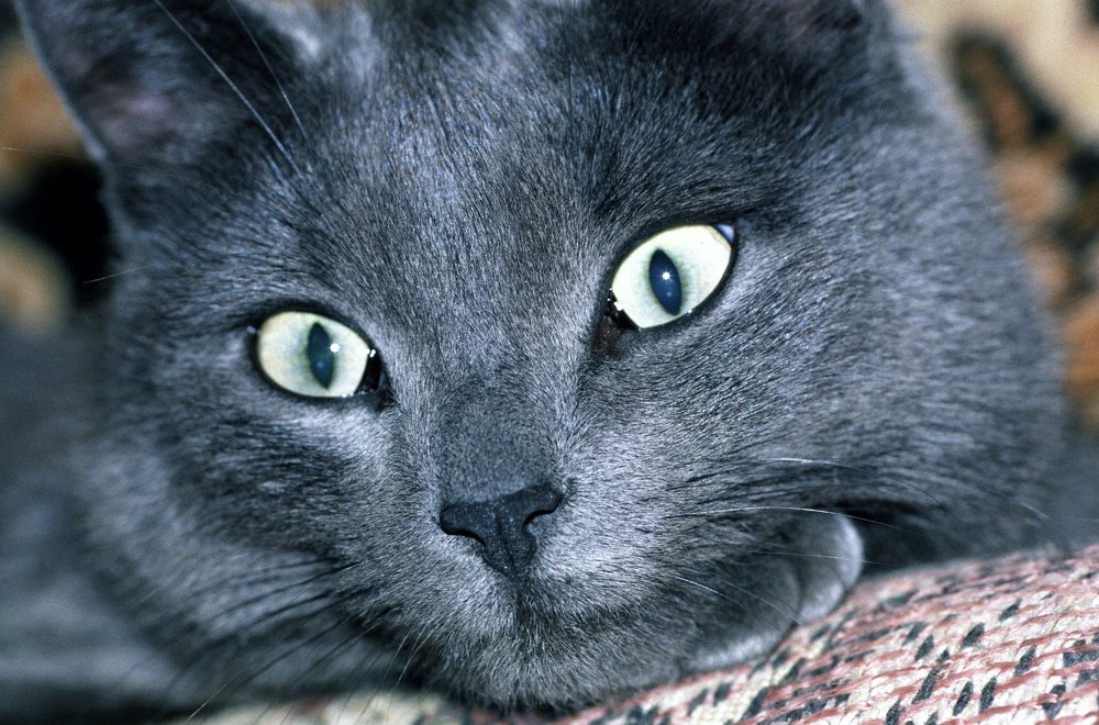 Photograph by Иван Бондаренко