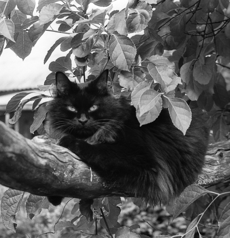 Photograph by Иван Бондаренко