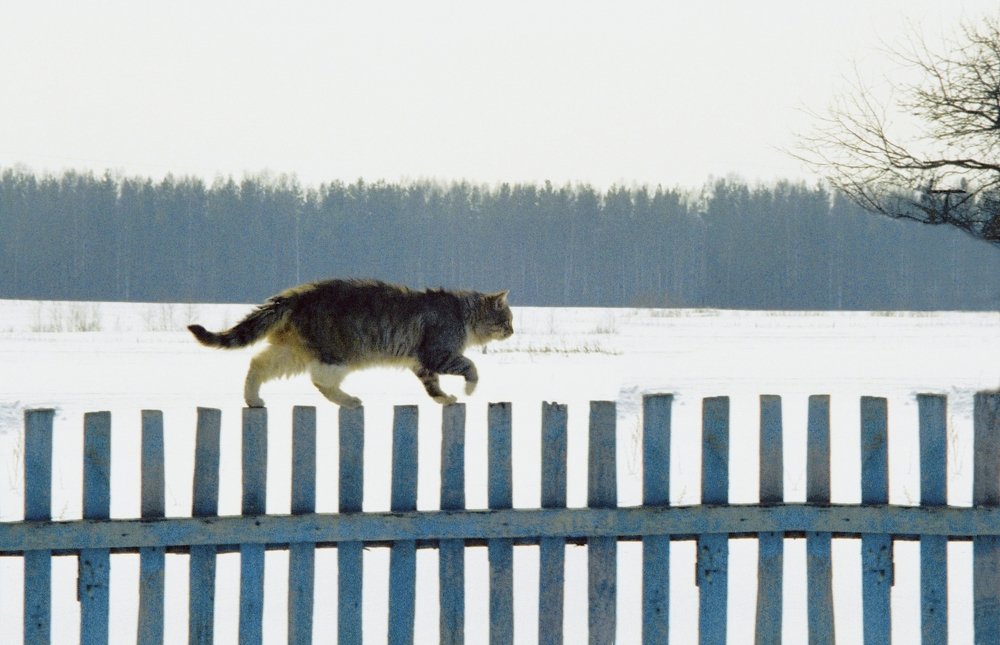 Photograph by Иван Бондаренко