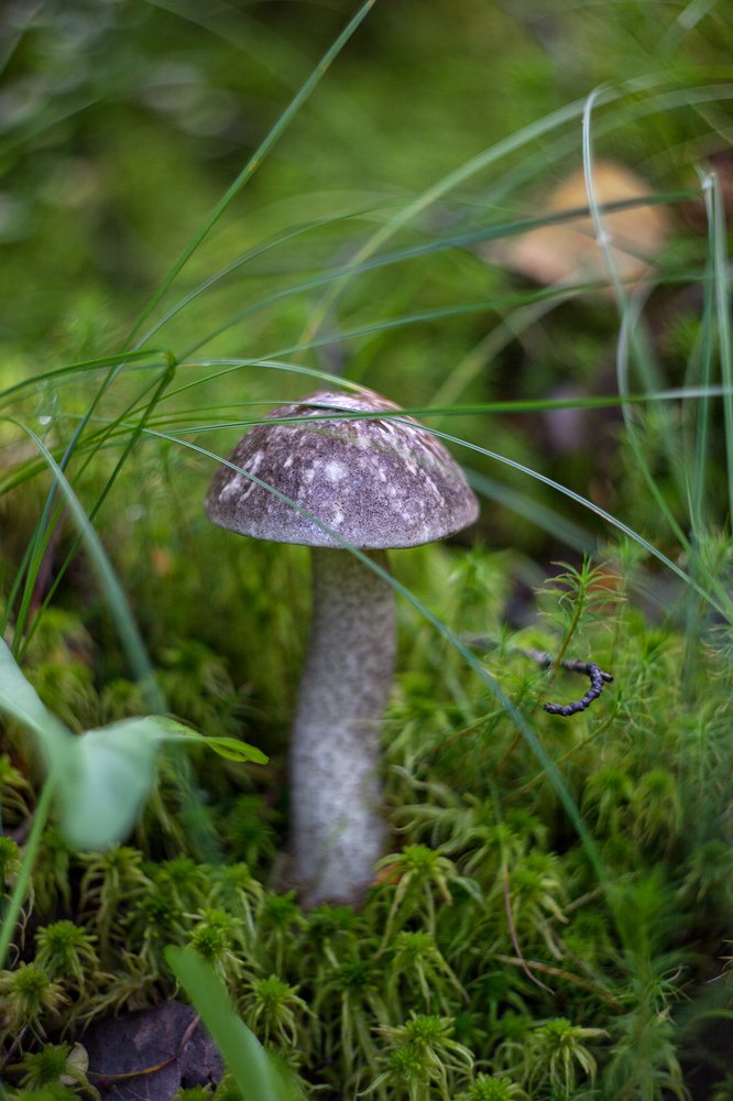 Photograph by Горшечников Сергей