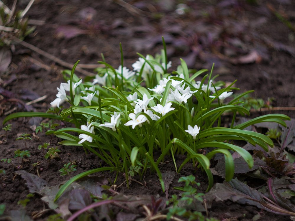 Photograph by Горшечников Сергей
