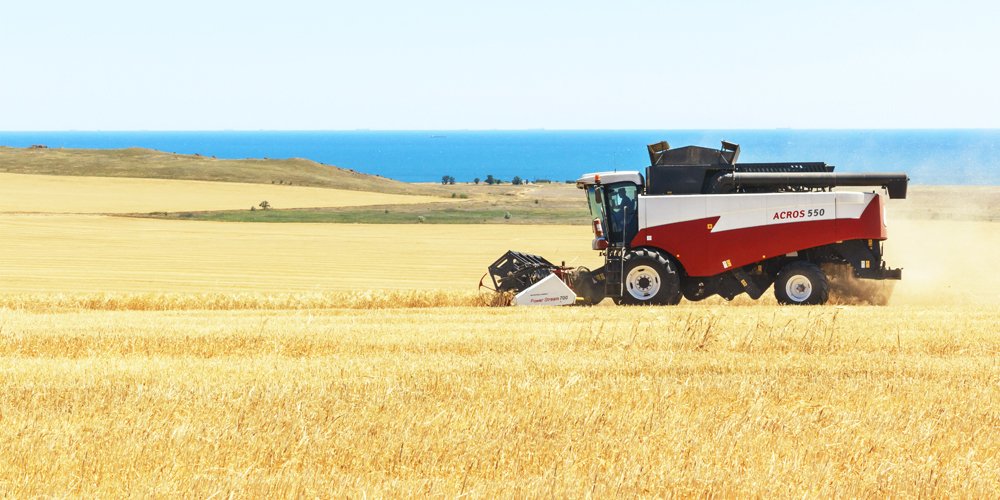 Photograph by Владимир Бочковский