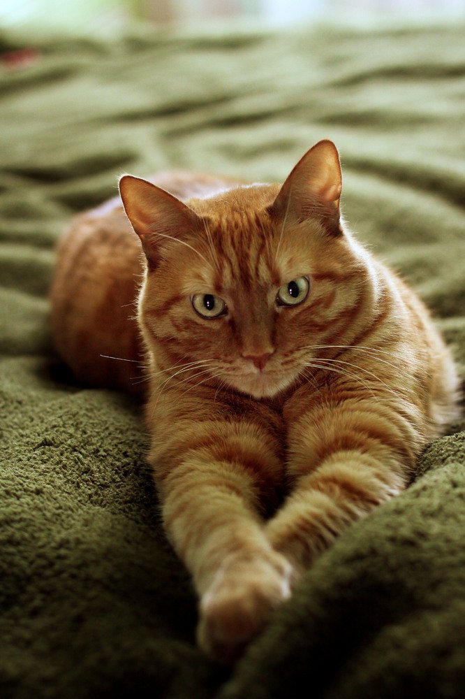 Photograph by Фаина Богун