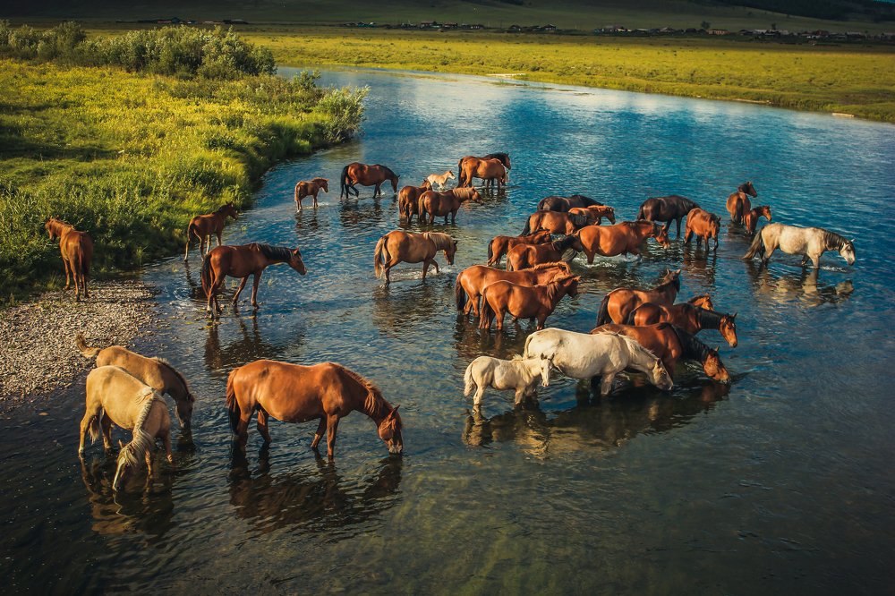 Photograph by Дмитрий